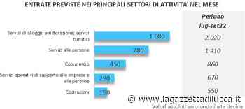 I dati di luglio sulla domanda di lavoro a Lucca e Pisa - La Gazzetta di Lucca