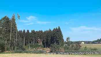 Bad Dürrheimer Forst - Förster Matthias Berger wagt noch keine Borkenkäfer-Prognose - Schwarzwälder Bote