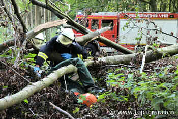 Mehr tödliche Unfälle in Landwirtschaft, Forst und Gartenbau - top agrar online