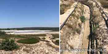 Oasi della salina a secco, la protesta dei turisti che lamentano l'assenza dei fenicotteri - La Voce di Manduria