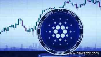 Cardano Daily Transaction Volume Up, But ADA Prices Remain Sluggish - NewsBTC