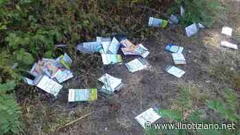 Gratta e vinci buttati a terra a Solaro multa per il responsabile - Il Notiziario