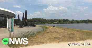 Blauwalgen op het Schulensmeer in Lummen: surfen verboden, zeilen kan alleen voor iedereen ouder dan 12 - VRT NWS
