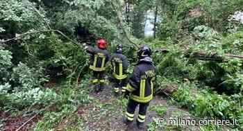 Luino, violento temporale con raffiche di vento: piante cadute e disagi alla viabilità - Corriere Milano