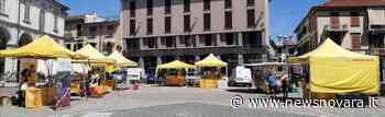 Sabato torna a Trecate il mercato di Campagna Amica - NewsNovara.it