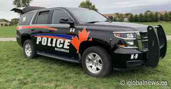 Belleville Police seize cocaine, brass knuckles from vehicle - Global News