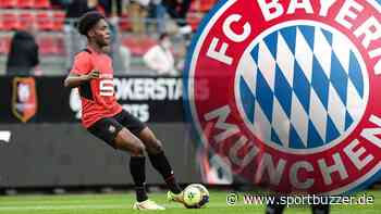 Mini-Mbappé kommt: FC Bayern erzielt Einigung mit Stade Rennes über Transfer von Mathys Tel - Sportbuzzer