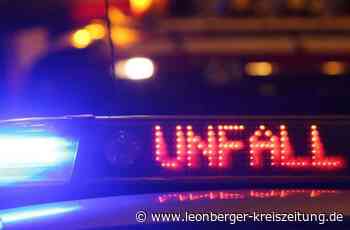 Einsatz in Weil der Stadt - Kind bei Autounfall schwer verletzt - Leonberger Kreiszeitung