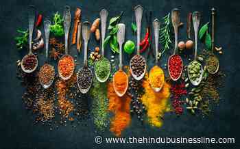 Watch: Why Indian FMCG companies like Emami and Wipro are taking the spice route - BusinessLine