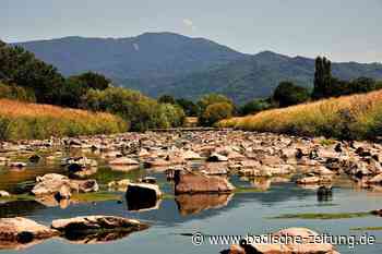 Ökologie der Gewässer sichern - Emmendingen - badische-zeitung.de