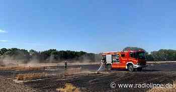 Flächenbrände in Extertal, Bad Salzuflen und Detmold - in Bielefeld brennt Hotel - Radio Lippe