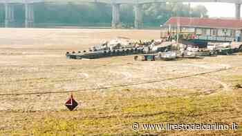 Siccità del Po, cuneo salino esteso a 40 chilometri - il Resto del Carlino