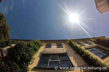 Emmendinger Innenstadt erhitzt sich zu sehr – weil Bäume fehlen - Emmendingen - badische-zeitung.de