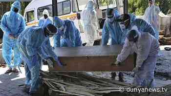 Pakistan reports 532 coronavirus cases, 3 deaths in 24 hours - Dunya News