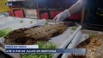 Festa da Tainha em Bertioga vai até o fim do mês - R7