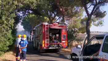 Tre incendi a Roma nord, le fiamme lambiscono la strada e minacciano i palazzi. Il video