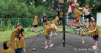 Allemaal bijtjes tussen de beestjes op natuurkamp in Vilvoorde - Het Laatste Nieuws