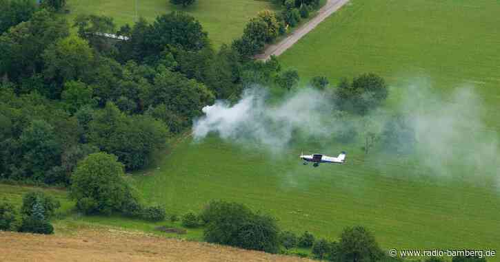 Grüne und FDP für Anschaffung von Löschflugzeugen