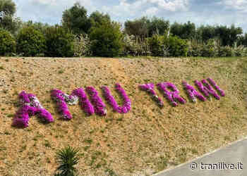 Amiu Trani, il prossimo 28 luglio trattamento di disinfestazione notturna - TraniLive