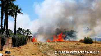 Trani, vasto incendio nei pressi dell'uscita Sud della SS16 bis FOTO | VIDEO - Puglia
