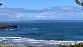 'You all saved Killalea': Community celebrates iconic surfing park's protection from development