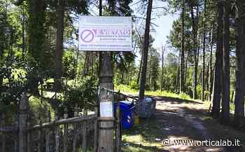 Atripalda, stop ai tagli di arbusti nel Parco pubblico San Gregorio - Orticalab