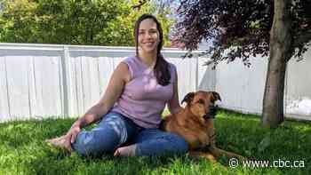 Pets are also feeling the heat this summer. Here's how you can protect them