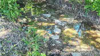 Trockenheit im Zollernalbkreis - Wasserentnahme ist nun verboten - Schwarzwälder Bote