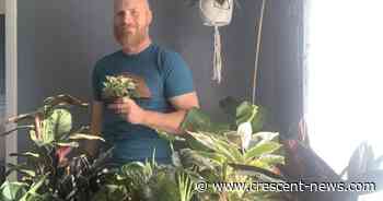 Local entrepreneur strives to bring green consciousness to Defiance - Defiance Crescent News