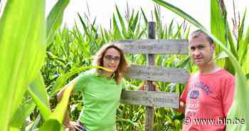 't Ganzengoed opent opnieuw zijn maïsdoolhof | Staden | hln.be - Het Laatste Nieuws