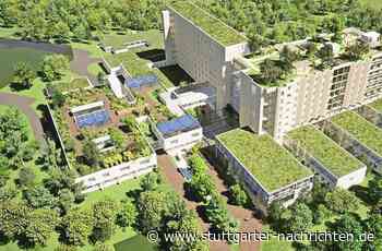 Studentische Arbeiten in Sindelfingen: Sieht so die Zukunft des Krankenhaus-Areals aus? - Stuttgarter Nachrichten