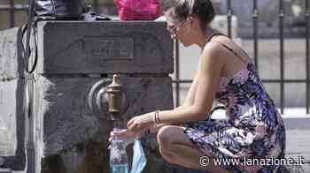 Canicola, afa e smog. Che aria tira? Siena sul podio per biossido di azoto - LA NAZIONE