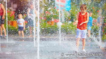Hitzeperioden: Grüne fordern Umdenken bei Stadtplanung - Radio Dresden