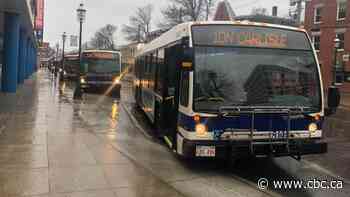 Taking the bus in Fredericton isn't exactly easy, so city plans a class - CBC.ca