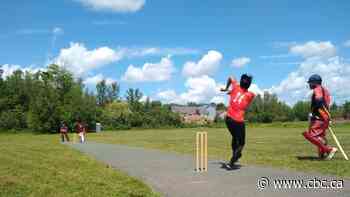 Fredericton to spend $280K upgrading cricket field - CBC.ca