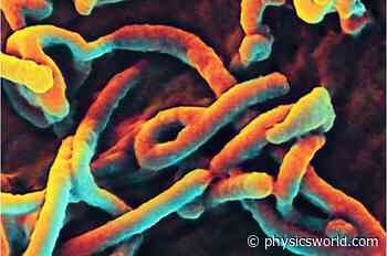 Whispering gallery mode device offers rapid Ebola diagnosis – Physics World - physicsworld.com