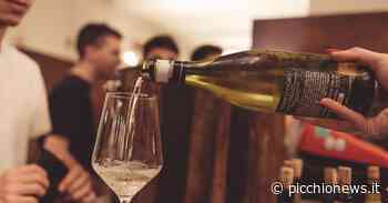 Torna il Matelica Wine Festival: il Verdicchio incontra il Barolo in un gemellaggio d'eccellenza - Picchio News
