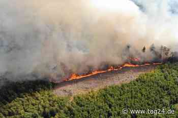 NRW-Feuerwalzen: Brandwache in Iserlohn dauert an - Waldbrand in Sundern gelöscht - TAG24