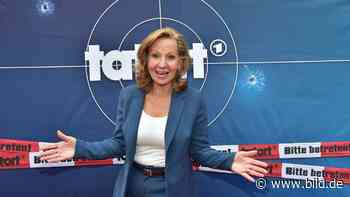 Von unseren Gebühren!: ARD-Chefin plant Luxus-Bau für 185 Mio. Euro - BILD