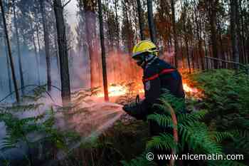 "On a pleuré de satisfaction d’avoir contenu ce feu": un pompier azuréen raconte la lutte sans merci en Gironde