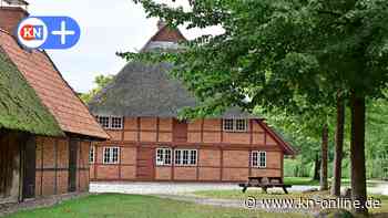 Bernsteinschleifen im Probstei-Museum in Schönberg für die ganze Familie