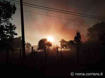 Dal rogo del Pineto alle fiamme di Centocelle: l'estate romana degli incendi - Corriere Roma