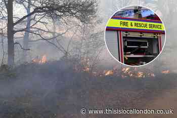 Firefighters battling Rammey Marsh grass fire in Enfield