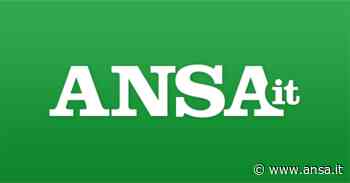 Rugby: presidente Avezzano, risultato frutto programmazione - Abruzzo - Agenzia ANSA