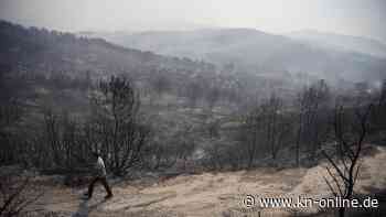 Waldbrand in Griechenland gefährdet einen der bedeutendsten Nationalparks Europas