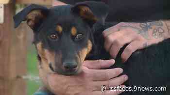 Colorado nonprofit seeks to remove barrier for people seeking addiction treatment