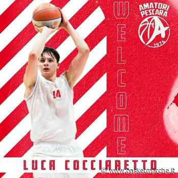 Nuovo colpo di mercato per l'Amatori Pescara: ufficiale la firma di Luca Cocciaretto - C Gold Abruzzo - Basketmarche.it