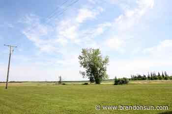 Phases laid out for outdoor sports complex - The Brandon Sun