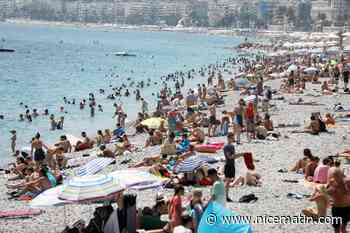 La température de la mer Méditerranée en passe d'atteindre les 30°, du jamais vu