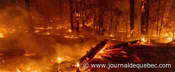 [EN IMAGES] Un violent incendie continue de s’étendre en Californie, des milliers d’évacués